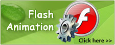 Flash Animation Services